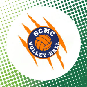 Logo Volley-ball