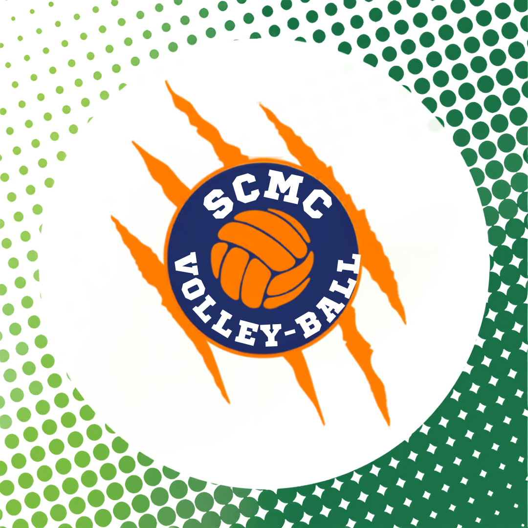 Logo Volley-ball Logo Volley-ball