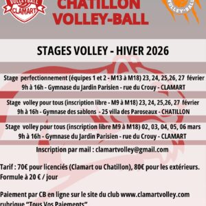 Stage de Volley-Ball